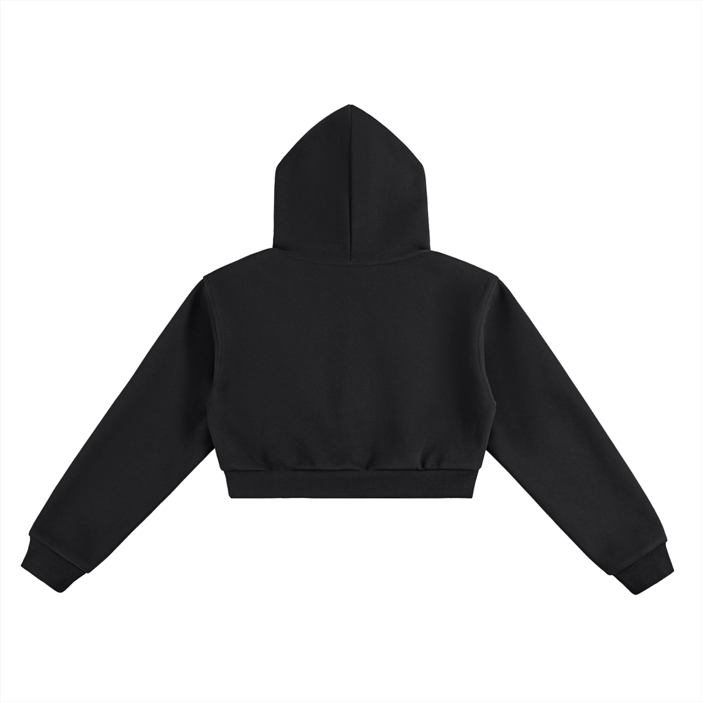 BOSS GRAPHIC Essential Cropped Hoodie