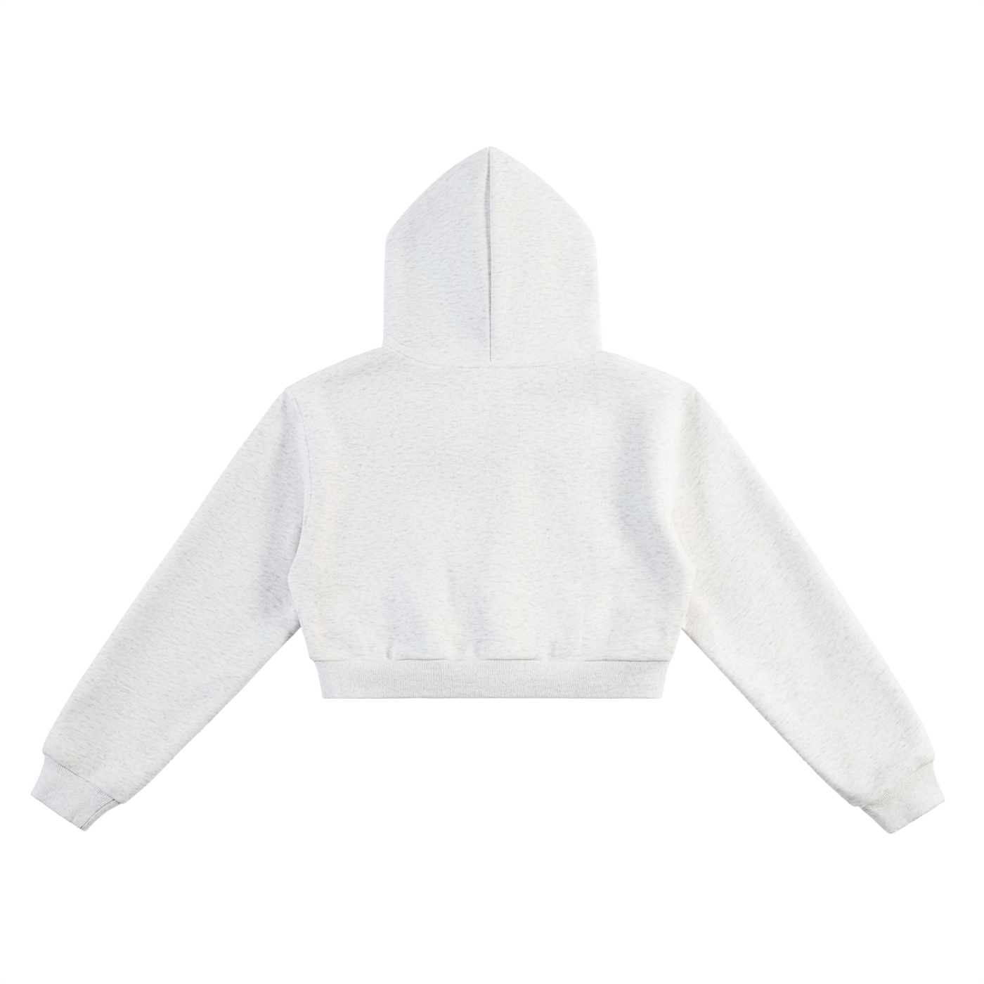 BOSS GRAPHIC Essential Cropped Hoodie
