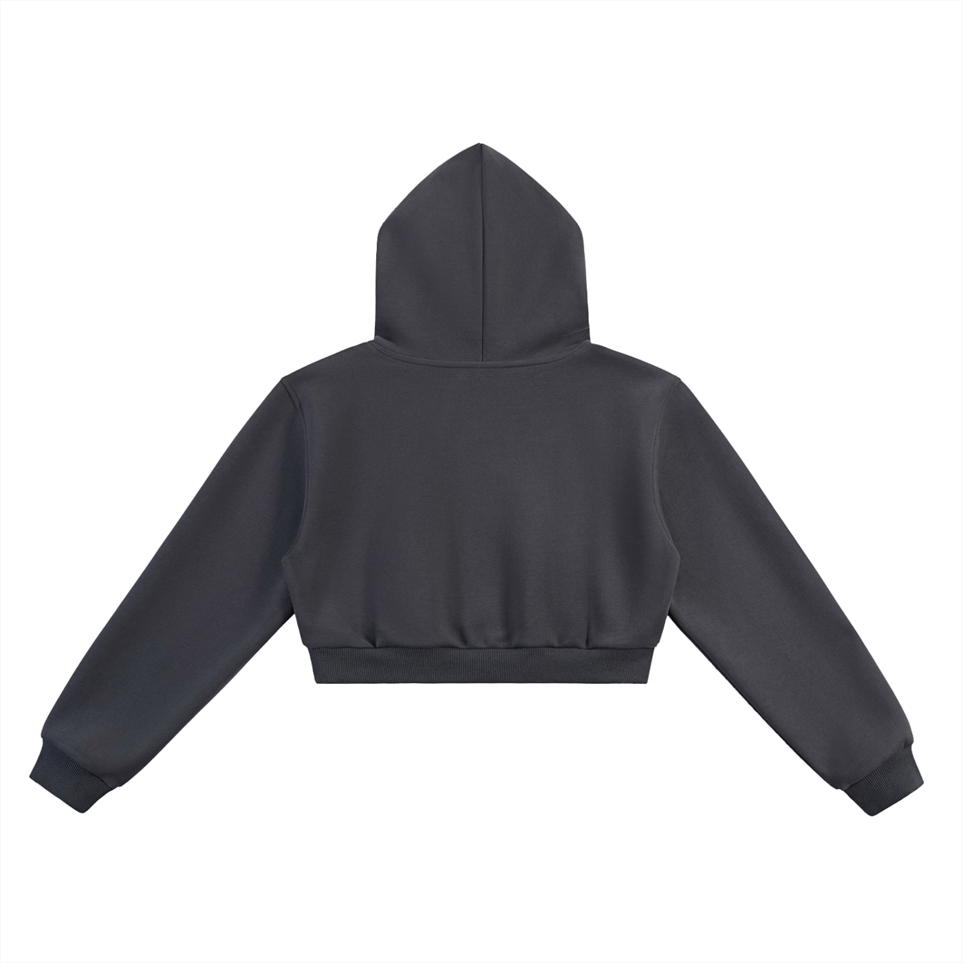 BOSS GRAPHIC Essential Cropped Hoodie
